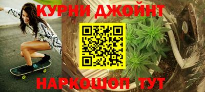 сатива Балаково