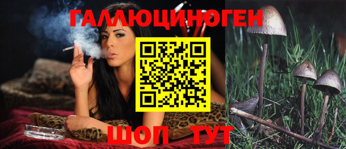 Галлюциногенные грибы MAGIC MUSHROOMS Ефремов